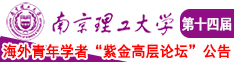 欧美熟操逼视频南京理工大学第十四届海外青年学者紫金论坛诚邀海内外英才！